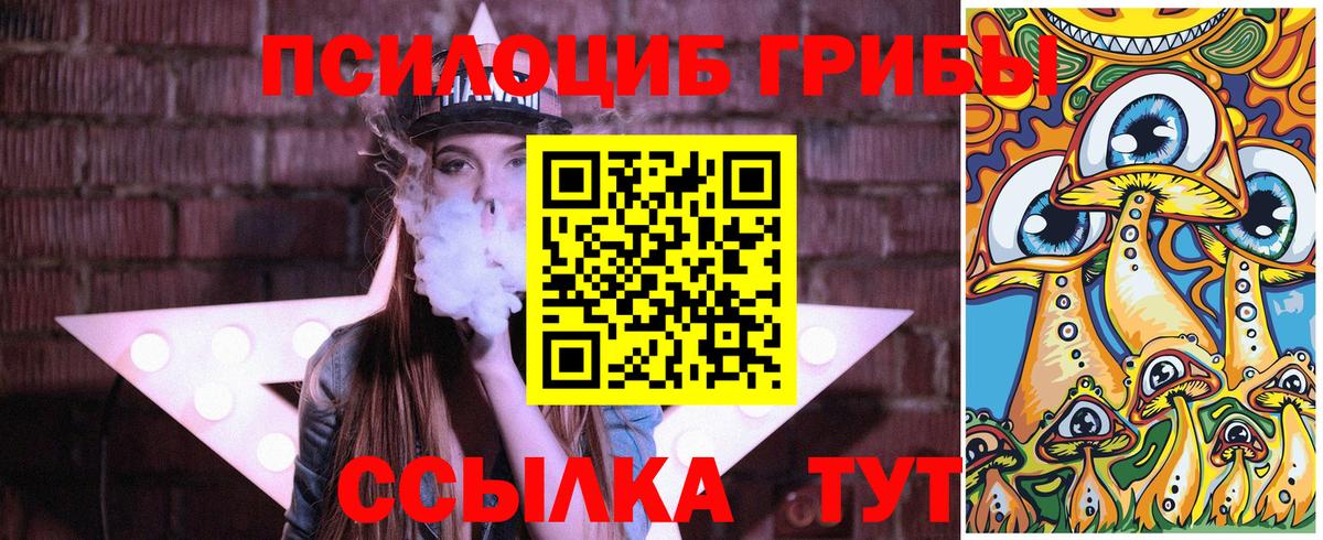 купить наркоту  Вход с VPN  Видное  Псилоцибиновые грибы Psilocybine cubensis 