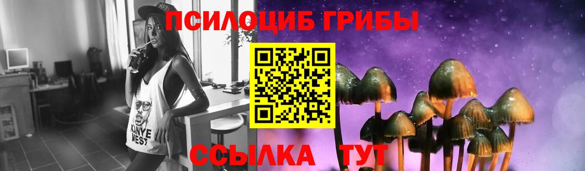 Псилоцибиновые грибы Magic Shrooms Видное
